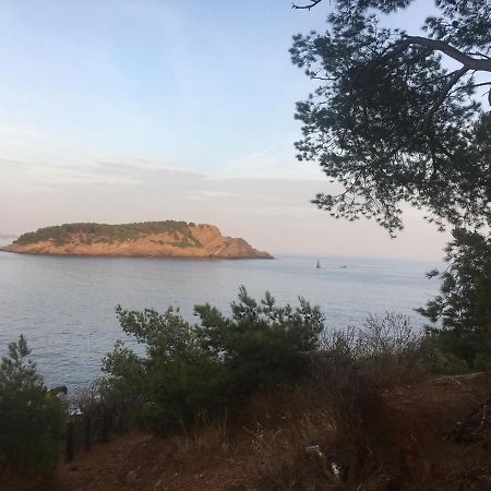Fanny Wifi Climatise Tout A Pieds 4 Personnes La Ciotat Exteriör bild